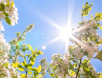 ��ɽ�ذ���Ķ��԰����